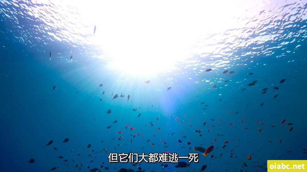 啊你tm别了贺朝啊剧照1